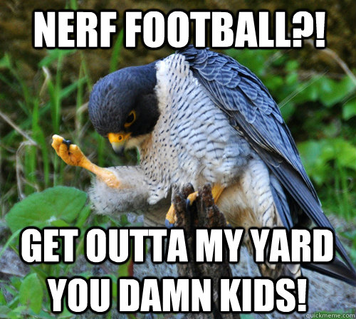 Nerf football?! Get outta my yard you damn kids! - Nerf football?! Get outta my yard you damn kids!  Success Falcon