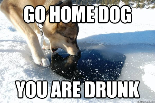 GO HOME DOG YOU ARE DRUNK - GO HOME DOG YOU ARE DRUNK  Misc