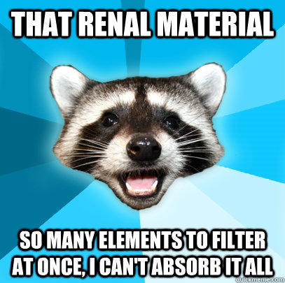 THAT RENAL MATERIAL SO MANY ELEMENTS TO FILTER AT ONCE, I CAN'T ABSORB IT ALL  Lame Pun Coon
