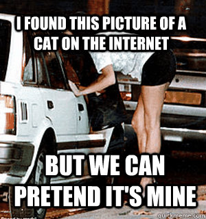 I found this picture of a cat on the internet but we can pretend it's mine  Karma Whore