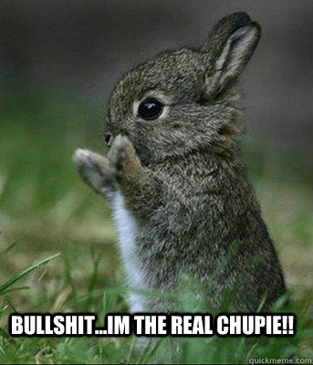 Bullshit...Im the real Chupie!! - Bullshit...Im the real Chupie!!  Cute bunny