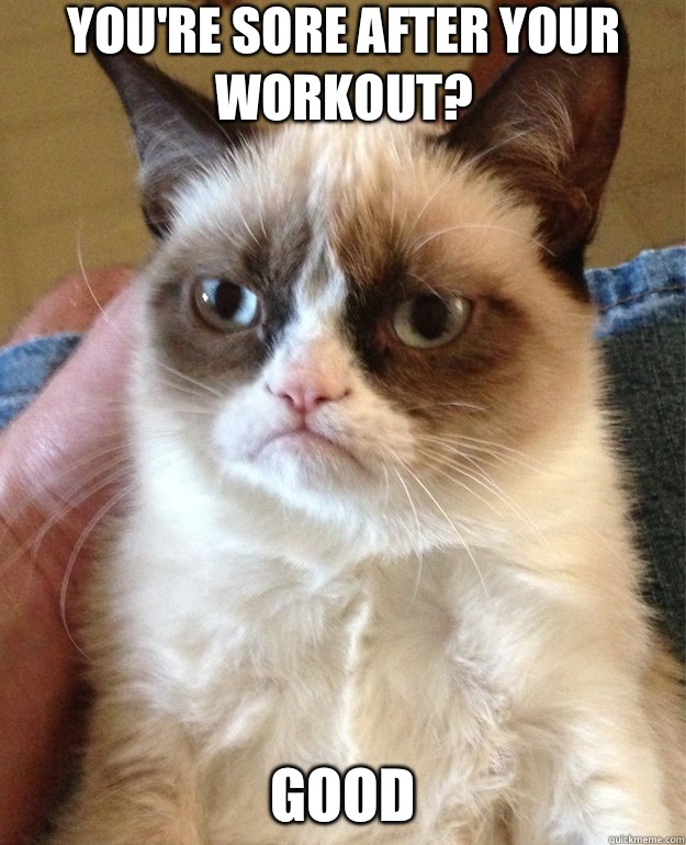 You're sore after your workout? Good - You're sore after your workout? Good  Misc
