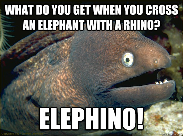 What do you get when you cross an elephant with a rhino? elephino!  Bad Joke Eel