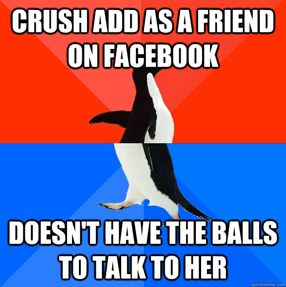 crush add as a friend on facebook doesn't have the balls to talk to her  Socially Awesome Awkward Penguin