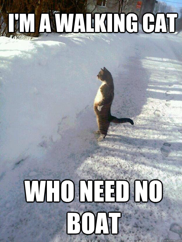 I'm a walking cat Who need no boat  CatSnowbank