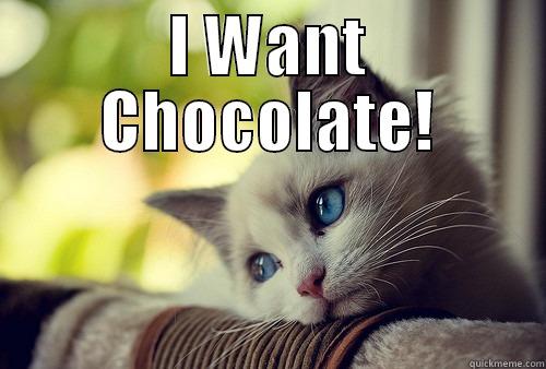 I Want Chocolate! - I WANT CHOCOLATE!  First World Problems Cat