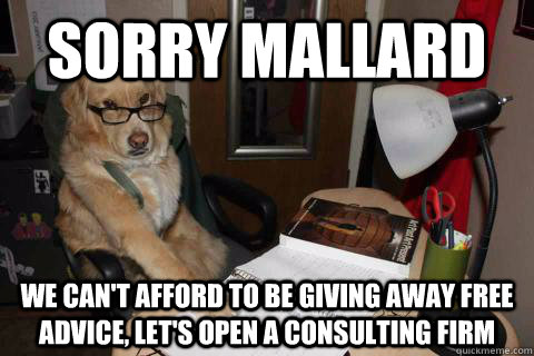 sorry mallard we can't afford to be giving away free advice, let's open a consulting firm - sorry mallard we can't afford to be giving away free advice, let's open a consulting firm  Misc