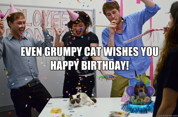 Even Grumpy Cat wishes you 
happy birthday! - Even Grumpy Cat wishes you 
happy birthday!  grumpycat