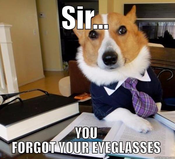 SIR... YOU FORGOT YOUR EYEGLASSES Lawyer Dog
