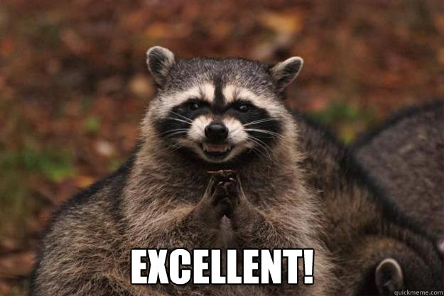  Excellent!  Evil Plotting Raccoon