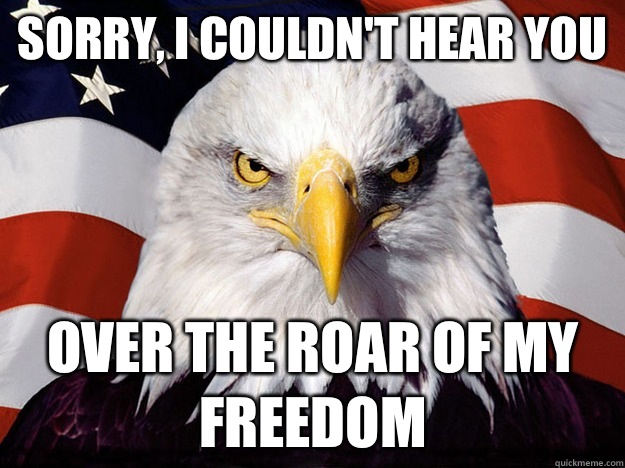 Sorry, I couldn't hear you Over the roar of my freedom  Evil American Eagle
