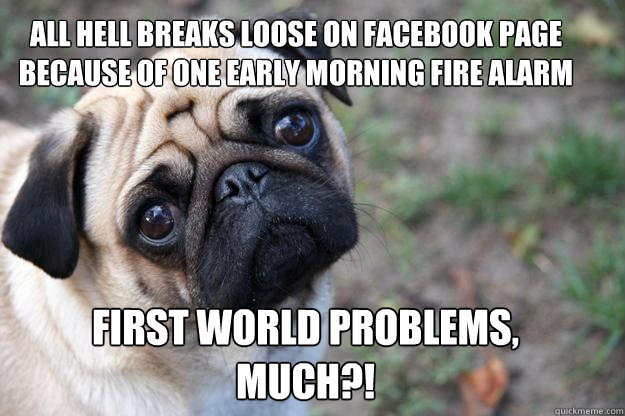 All hell breaks loose on Facebook page because of one early morning fire alarm first world problems, much?! - All hell breaks loose on Facebook page because of one early morning fire alarm first world problems, much?!  First World Dog problems