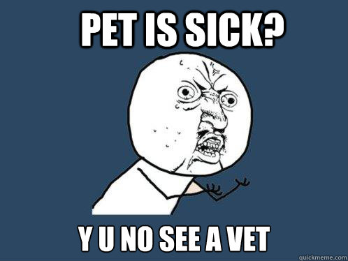 Pet is sick? y u no see a vet - Pet is sick? y u no see a vet  Y U No