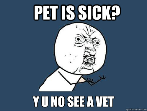Pet is sick? y u no see a vet  Y U No