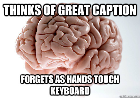 Thinks of great caption forgets as hands touch keyboard  Scumbag Brain