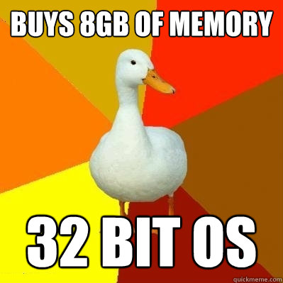 Buys 8gb of memory 32 bit os  Tech Impaired Duck