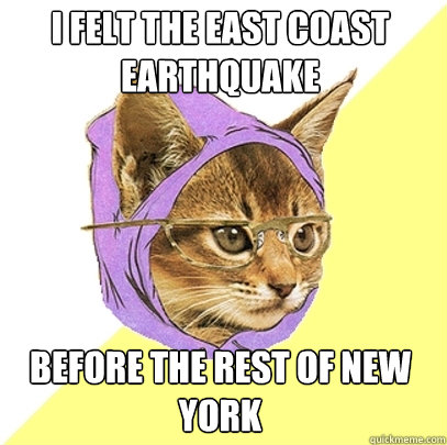 I felt the East Coast Earthquake Before the rest of New York  Hipster Kitty