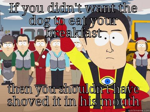 IF YOU DIDN'T WANT THE DOG TO EAT YOUR BREAKFAST THEN YOU SHOULDN'T HAVE SHOVED IT IN HIS MOUTH Captain Hindsight