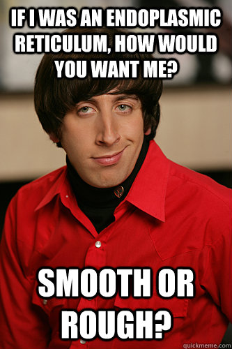 If I was an endoplasmic reticulum, how would you want me? Smooth or rough? - If I was an endoplasmic reticulum, how would you want me? Smooth or rough?  Howard Wolowitz