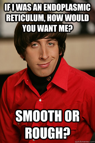 If I was an endoplasmic reticulum, how would you want me? Smooth or rough?  Howard Wolowitz