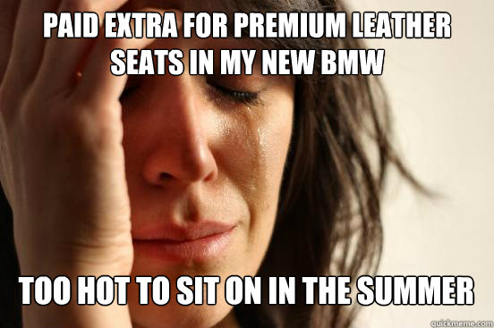 Paid extra for premium leather seats in my new bmw
 too hot to sit on in the summer Caption 3 goes here  First World Problems