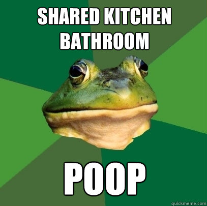 Shared kitchen bathroom poop  Foul Bachelor Frog
