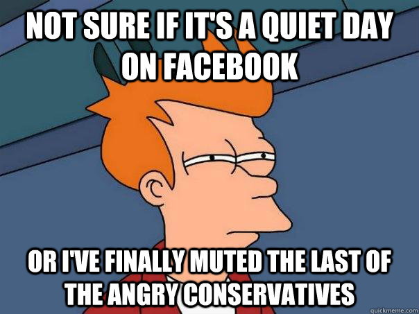 Not sure if it's a quiet day on facebook Or I've finally muted the last of the angry conservatives - Not sure if it's a quiet day on facebook Or I've finally muted the last of the angry conservatives  Futurama Fry
