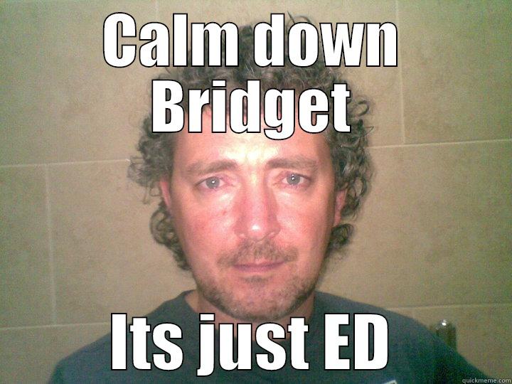CALM DOWN BRIDGET ITS JUST ED Misc