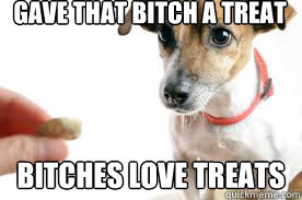 Gave that bitch a treat Bitches love treats  Dog treat