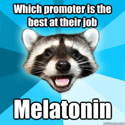 Which promoter is the best at their job Melatonin  Lame Pun Coon