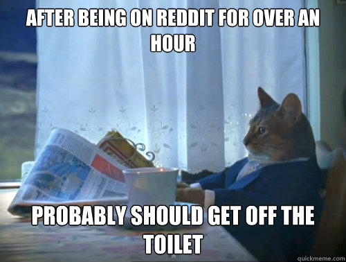 After Being On Reddit For Over An Hour  Probably Should Get Off The Toilet   The One Percent Cat