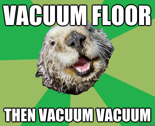 Vacuum floor Then vacuum vacuum  OCD Otter