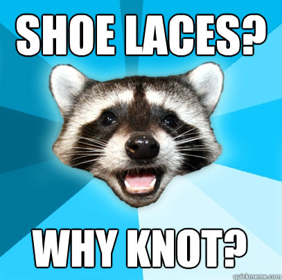 Shoe laces? Why knot?  Lame Pun Coon