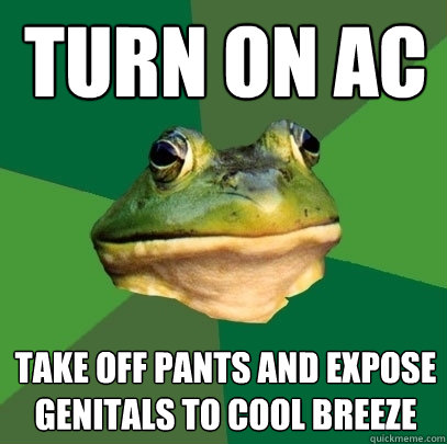 turn on AC take off pants and expose genitals to cool breeze  Foul Bachelor Frog