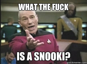 What the fuck is a Snooki?  Annoyed picard about shitty watercolor and karmanaut