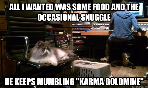 All I wanted was some food and the occasional snuggle He keeps mumbling 