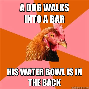 A dog walks
into a bar his water bowl is in the back - A dog walks
into a bar his water bowl is in the back  Anti-Joke Chicken