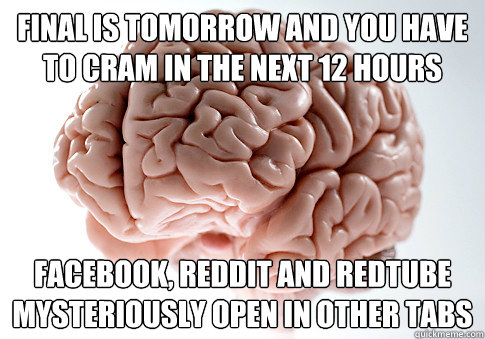 Final is tomorrow and you have to cram in the next 12 hours Facebook, Reddit and RedTube mysteriously open in other tabs  Scumbag Brain