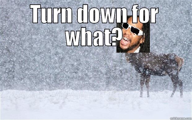 Lil jon - TURN DOWN FOR WHAT?  Misc