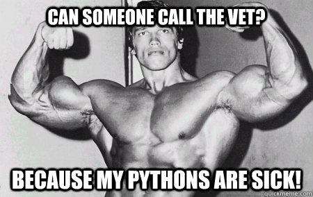 Can someone call the vet? Because my pythons are sick!  
