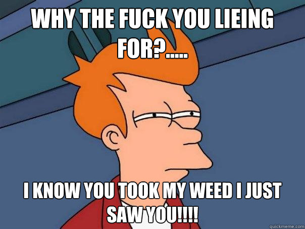 WHY THE FUCK YOU LIEING FOR?..... I KNOW YOU TOOK MY WEED I JUST SAW YOU!!!!  Futurama Fry