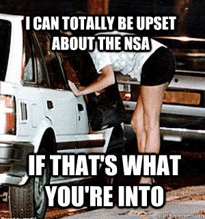 I can totally be upset about the nsa  if that's what you're into - I can totally be upset about the nsa  if that's what you're into  Karma Whore