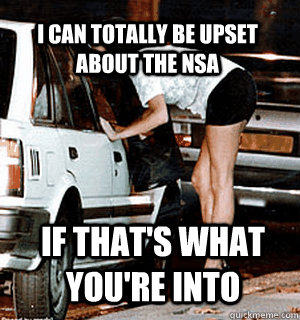 I can totally be upset about the nsa  if that's what you're into  Karma Whore