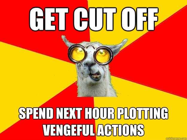 get cut off spend next hour plotting vengeful actions  Learner Driver Llama