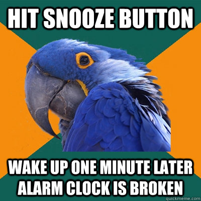 HIT SNOOZE BUTTON wake up one minute later alarm clock is broken - HIT SNOOZE BUTTON wake up one minute later alarm clock is broken  Paranoid Parrot