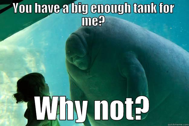 Put me in your tank - YOU HAVE A BIG ENOUGH TANK FOR ME? WHY NOT? Overlord Manatee