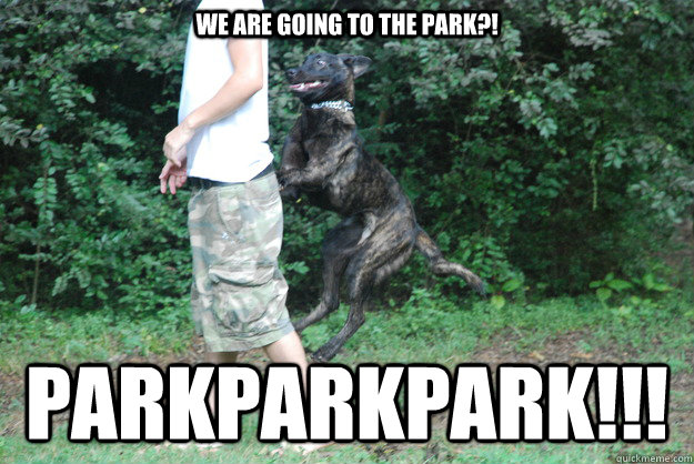 We Are Going to the park?! PARKPARKPARK!!!  Overly Excited Dog