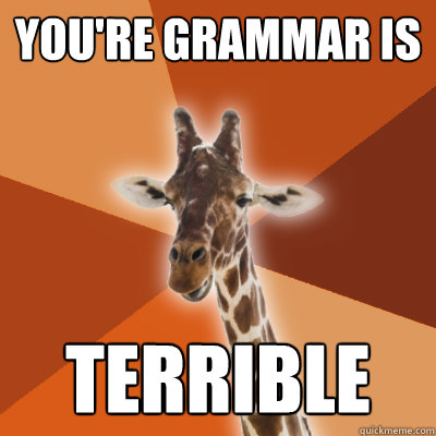YOU'RE GRAMMAR IS TERRIBLE  Grammar Fail Giraffe