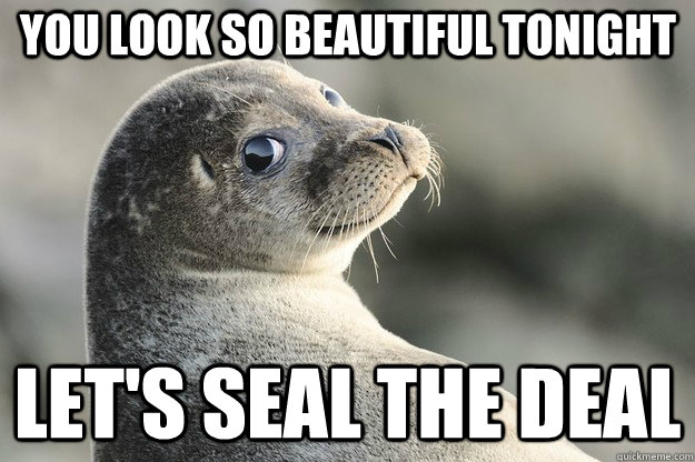 You look so beautiful tonight Let's seal the deal - You look so beautiful tonight Let's seal the deal  ridiculously photogenic seal