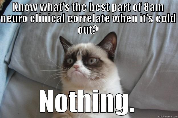 KNOW WHAT'S THE BEST PART OF 8AM NEURO CLINICAL CORRELATE WHEN IT'S COLD OUT? NOTHING. Grumpy Cat